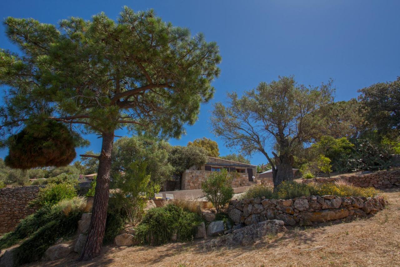 Villa Bodri, Maison En Pierre Avec Vue Mer Et Piscine Chauffee L'Ile-Rousse  Exterior photo