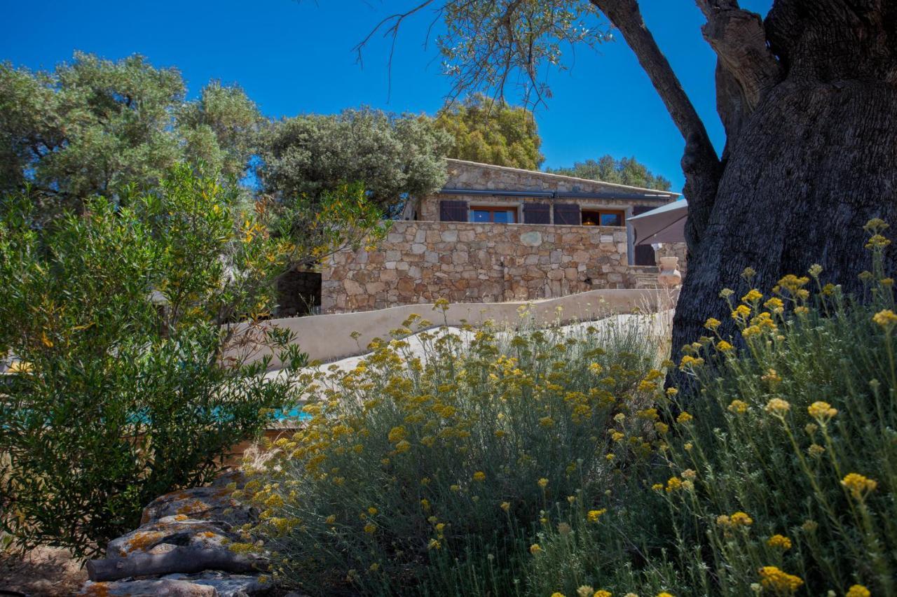Villa Bodri, Maison En Pierre Avec Vue Mer Et Piscine Chauffee L'Ile-Rousse  Exterior photo
