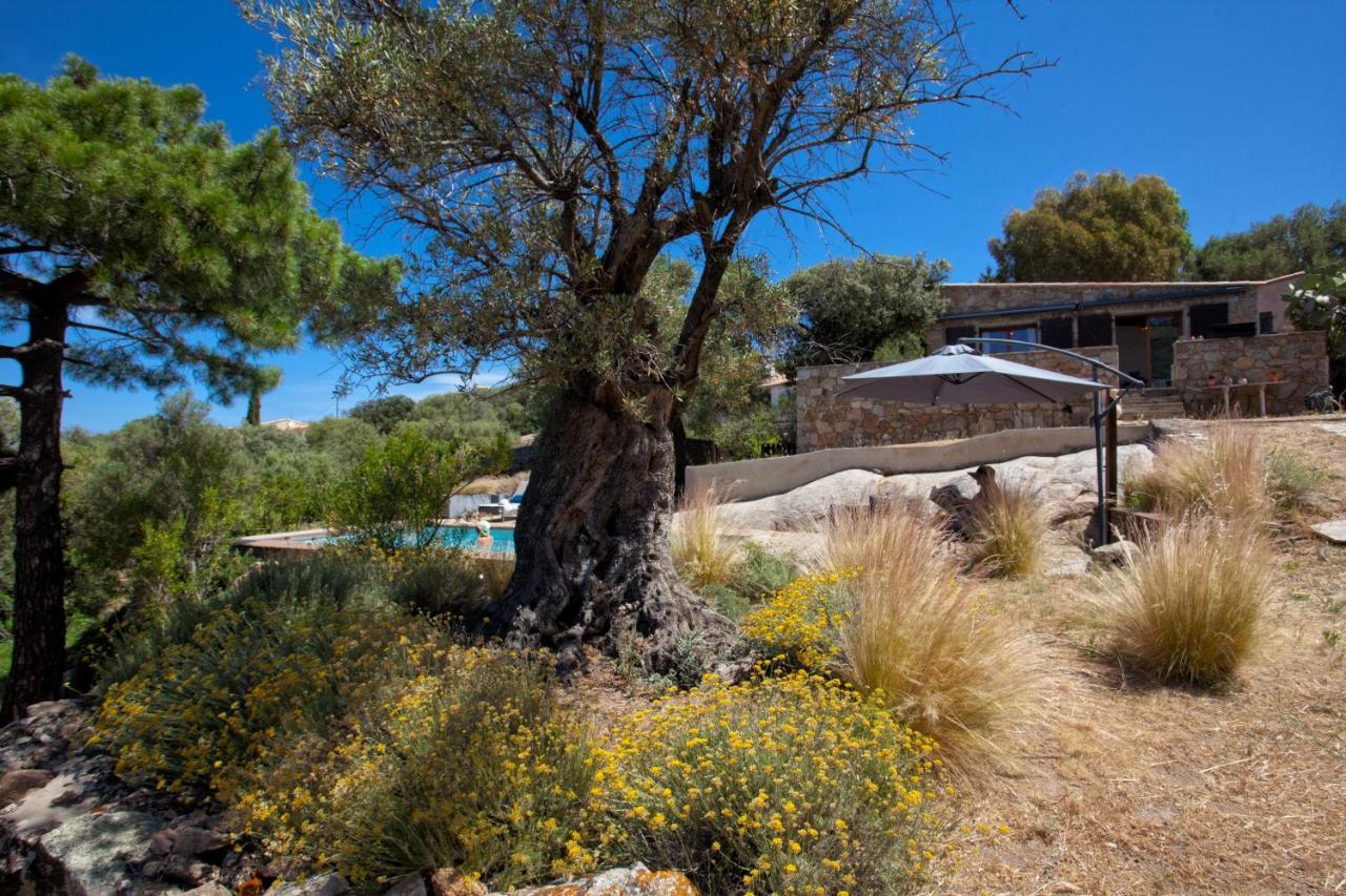 Villa Bodri, Maison En Pierre Avec Vue Mer Et Piscine Chauffee L'Ile-Rousse  Exterior photo